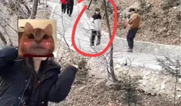 动漫奶头,动漫中的甜蜜诱惑与深层寓意